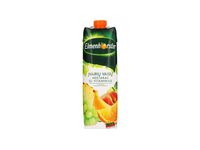 Įvairių vaisių sulčių vitaminizuotas nektaras ELMENHORSTER, 1 l