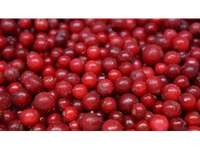 Šaldyti raudonieji serbentai,  IQF, 1 kg