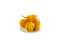 Aitrieji pipirai HABANERO, geltoni, I kl. kg