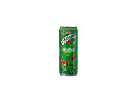 Gazuotas gėrimas TYMBARK kaktusų skonio, 330 ml
