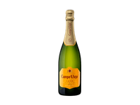 Putojantis baltasis sausas vynas CAMPO VIEJO BRUT, 750 ml