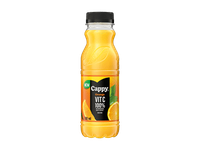 Apelsinų nektaras CAPPY, 330 ml