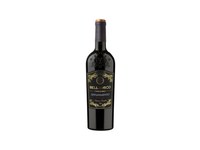 Vynas BELLAMICO APPASSIMENTO, raudonasis, sausas, 14%, 750ml