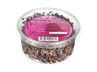 Raudonųjų kopūstų daigai, 50 g