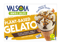 Augaliniai valgomieji ledai VALSOIA, sūrios karamelės skonio, 300 g