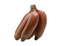 Raudonieji bananai, 1 kg