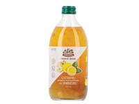 Citrinų ir imbierų arbatos koncentratas ŽOLYNĖLIS, 520 ml