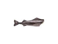 Atlantinė menkė, skrosta, be galvos, 2-4kg