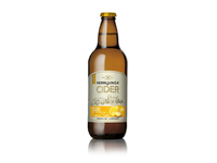 Sidras HERRLJUNGA, imbiero ir citrinos skonio, 4%, 0,5l, butelis D