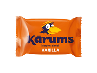 Varškės sūrelis su vanile KARUMS, 45 g