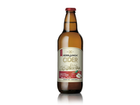 Sidras HERRLJUNGA, obuolių skonio, 4,5%, 0,5l, butelis D