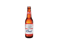 Alus BUD, 330 ml