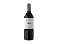 Raudonasis sausas vynas CASILLERO DEL DIABLO MALBE, 750 ml