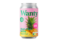 Gazuotas funkcinis gėrimas WANTY Pineapple, 330 ml