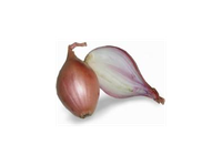 Svogūnai SHALLOT, I kl.,kg