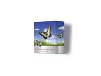 Vynas SCHMETTERLING Riesling Qba, baltas, pusiau saldus, 8,5%, 3 l