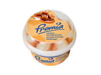 Van. ledai su kar. įd. PREMIA, 250 g / 0,5 l