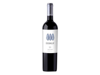 Coihue Syrah 0,75 L