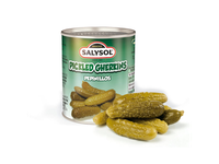 Marinuoti agurkai SALYSOL,120g/50g