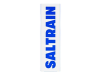 SALTRAIN GRAY SALT CLEAN BREATH dantų pasta, 100 g