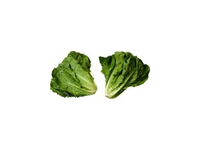 Salotos ROMAINE, I klasė, kg
