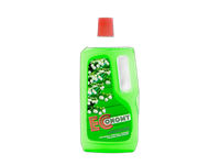 Universali valymo priemonė Economy 1L Flower