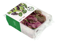 Burokėlių lapai BULL'S BLOOD, 100 g