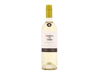 Balt.sausas vynas CASILLERO SAUVIGNON, 0,75l