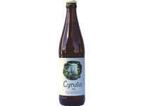 Dundulis Cyrulis Pils 0,5 L