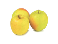Obuoliai GOLDEN, 65-75 mm, 1 kg