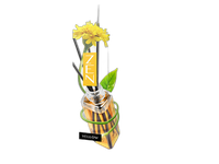 Oro gaiviklis-kvapnios lazdelės Zen Elix 50ml Yellow
