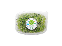 Porų daigai ŽALI ŽALI, 40 g