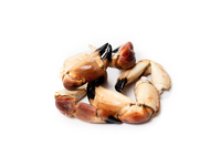 Šaldytos paprastojo uolinio krabo žnyplės 12/20 1kg