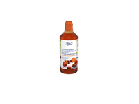 Auksaspalvis sirupas DANSUKKER, 750 g