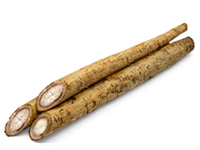 Gobo šaknis, kg