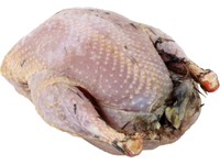 Šaldyta kurapka 250+ g, Anglija