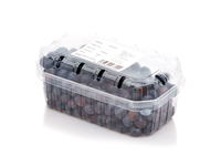 Fasuotos šilauogės, 250g