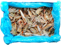 Šaldyti norveginių omarų kiautai su žnyplėmis, nevirti, 5kg