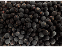 Juodieji serbentai, šaldyti, 2,5 kg