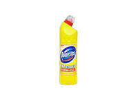 Tualeto valymo priemonė DOMESTOS 750ml Citrus