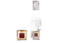 Oro gaiviklis-kvapiosios lazdelės Areon Home 100ml Vanilla