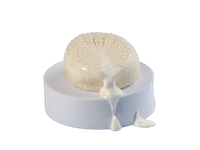 Sūris Burrata PRIMO LATTE, rūkyta, 2x125 g