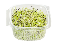 Porų daigai, 50 g