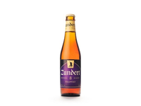 Alus Zundert Trapist, 8%, 0,33 l butelis D