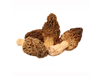 Grybai Morel, I klasė, kg,