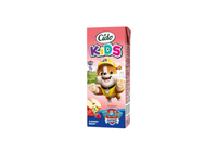Vasaros uogų sulčių gėrimas CIDO KIDS, 200 ml