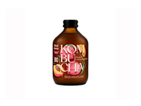 Kombuča WELL DONE persikų ir citrinos skonio, 330 ml