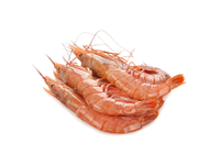 Šaldytos argentininės krevetės L1 8/16 su galvomis, su kiautais, 2 kg