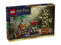 Konstruktorius LEGO HOGVARTSO AUGALAI 76474