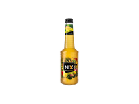 Gaz.alk.kokteilis MIX GIN&MANGO,4 %,0,33l,st.